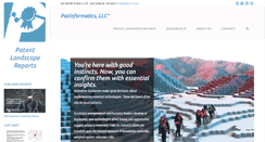 Desktop Screenshot of patinformatics.com